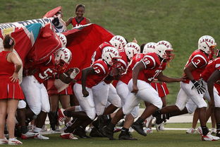 开云体育-76人球队文化墙正式揭幕展示历史荣誉，76人队图案